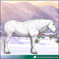 Horse Color:Watercolor White Spotted Chestnut Sabino