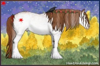 Horse Color:White Spotted Chestnut 