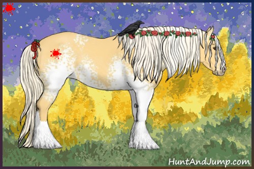 Horse Color:White Spotted Palomino Rabicano 