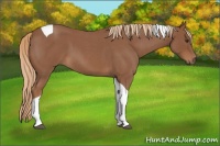 Horse Color:Red Roan Tobiano 