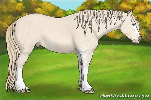 Horse Color:White Spotted Perlino 