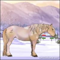Horse Color:Chestnut Sabino 
