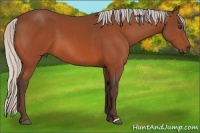 Horse Color:Silver Brown 