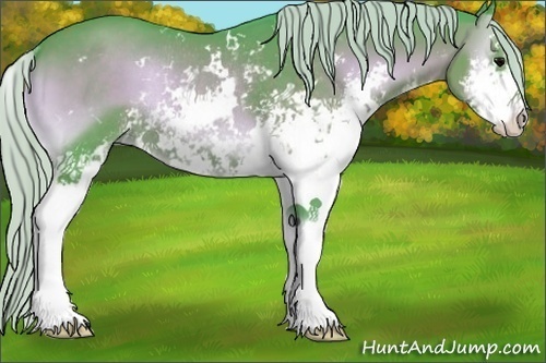 Horse Color:Watercolor Silver Blue Onyx Sabino Rabicano 