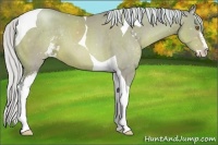 Horse Color:Watercolor Silver Brown Pearl Sabino Tobiano 