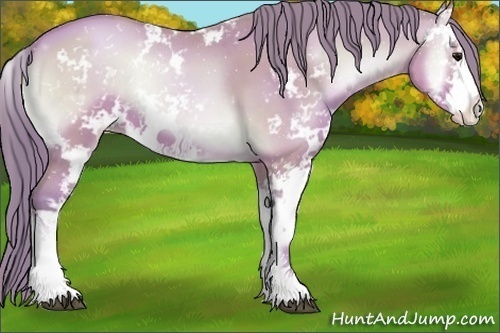 Horse Color:Watercolor Brown Pearl Onyx Sabino