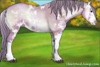 Horse Color:Watercolor Brown Pearl Onyx Sabino 