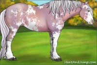 Horse Color:Watercolor Silver Brown Pearl Sabino 