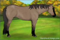 Horse Color:Void Bay Roan Dun Splash Rabicano