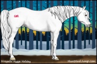 Horse Color:Gray Black Splash 