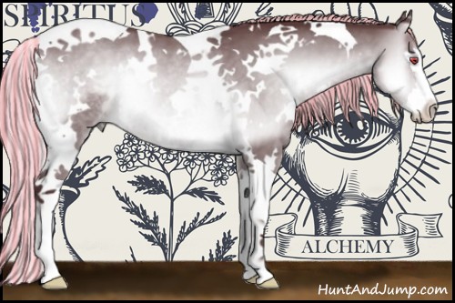 Horse Color:Painted White Spotted Chocolate Silver Brown Chinchilla Onyx Splash Tobiano 