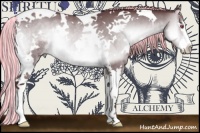 Horse Color:Painted White Spotted Chocolate Silver Brown Chinchilla Onyx Splash Tobiano 