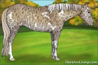 Horse Color:White Spotted Silver Classic Cream Champagne Ice Onyx Tobiano 