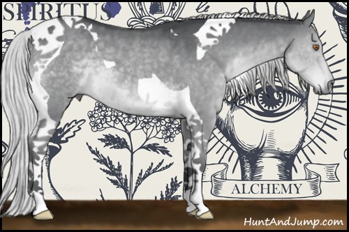 Horse Color:Silver Black Chinchilla Tobiano 