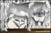 Horse Color:Silver Black Chinchilla Tobiano 