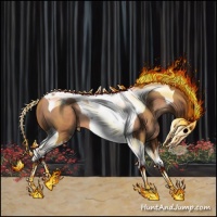 Horse Color:Brown Pearl Sabino Tobiano