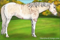 Horse Color:Silver Bay Roan Onyx Tobiano  and Silver Buckskin Roan Onyx Tobiano 