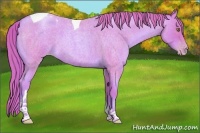 Horse Color:Watercolor Gold Champagne Roan Tobiano 