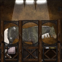 Horse Color:Liver Chestnut Mushroom Snowflake Varnish