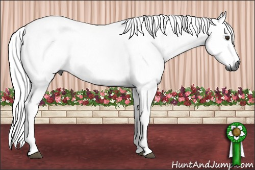 Horse Color:Gray Chestnut
