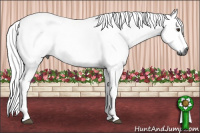 Horse Color:Gray Chestnut 