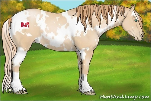 Horse Color:White Spotted Smoky Black Pearl 