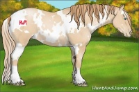 Horse Color:White Spotted Smoky Black Pearl