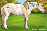 Horse Color:White Spotted Smoky Black Pearl 