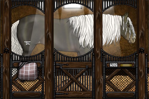 Horse Color:Liver Chestnut Mushroom Varnish 