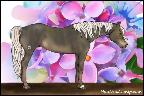 Horse Color:Liver Red Roan Mushroom 