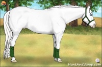 Horse Color:Silver Smoky Grullo Roan Pearl Appaloosa 