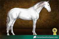 Horse Color:White Spotted Bay Appaloosa 