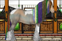 Horse Color:Painted Amber Champagne Tobiano Appaloosa 