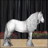 Horse Color:Gray White Spotted Bay Tobiano Blanket