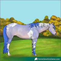 Horse Color:Watercolor Bay Dun Tobiano Rabicano 