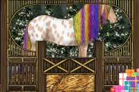 Horse Color:Painted Gold Champagne Appaloosa 