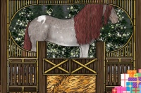Horse Color:Painted Liver Chestnut Ice Appaloosa