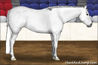 Horse Color:Gray Bay 