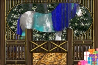 Horse Color:Painted White Spotted Grullo Tobiano Appaloosa 