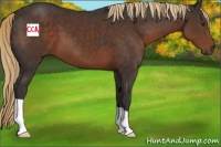 Horse Color:Liver Chestnut 