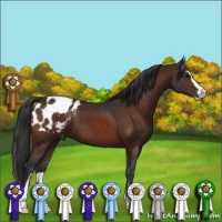 Horse Color:Brown Sabino Varnish