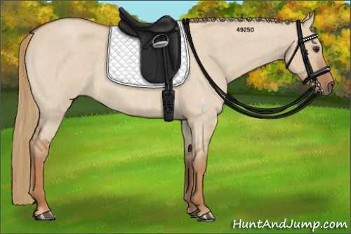 Horse Color:Red Dun Roan 