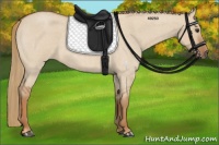 Horse Color:Red Dun Roan 