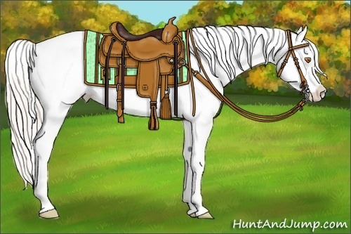 Horse Color:Silver Classic Champagne Splash Frame Blanket 