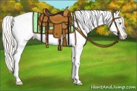 Horse Color:Silver Classic Champagne Splash Frame Blanket 