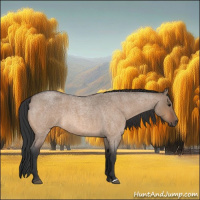 Horse Color:Bay Roan Dun 