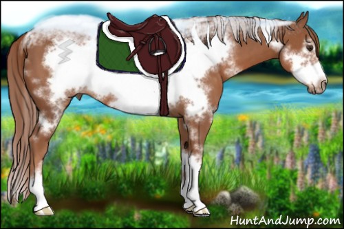 Horse Color:White Spotted Chestnut Sabino Frame 