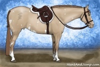 Horse Color:White Spotted Grullo Pearl 