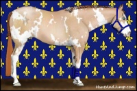 Horse Color:White Spotted Buckskin Pearl Sabino 