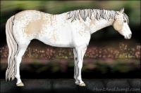 Horse Color:White Spotted Silver Grullo Pearl Sabino